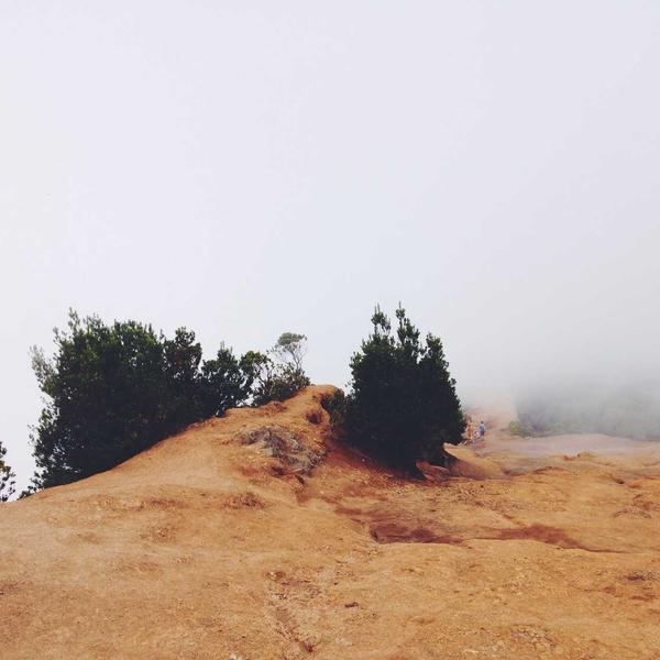 Lenovo ThinkPad X1 Carbon i7 16GB 512GB